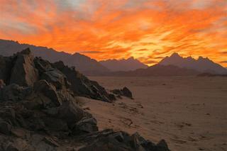 Hotel The Westin Soma Bay Golf Resort & Spa