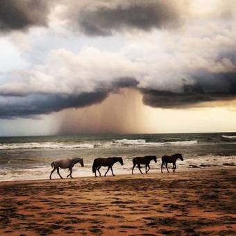 Nautilus Boutique Hotel