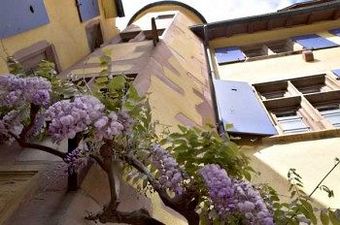 Hotel De La Couronne