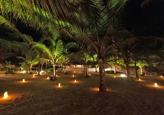 Hotel Dolphin Beach Alankuda