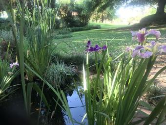 Hostal Hills And Dales Accommodation