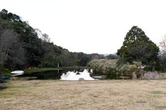 Hostal Westfield Farm