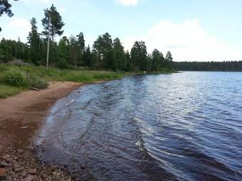 B�cka Holiday Home