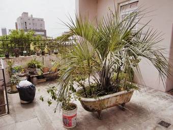 Posada Gran Hotel Col�n