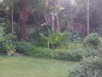 Bed & Breakfast Mt Warning Retreat