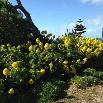 Hostal Yelki By The Sea B&B