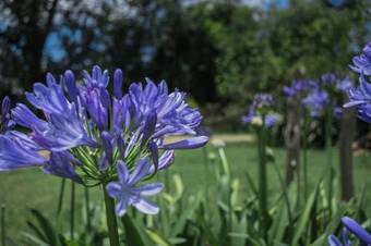 Killa Sumaj Caba�as