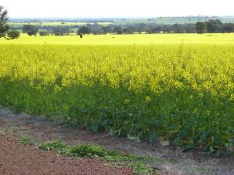 Kadina Bed & Breakfast