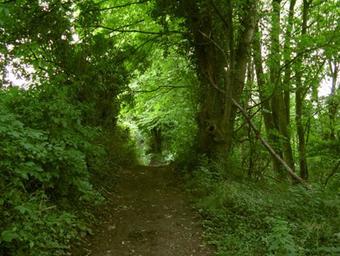 Agroturismo Hoeve Espewey