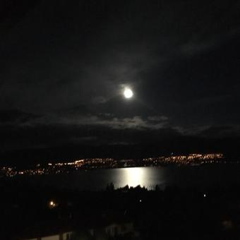 Apothic Boutique B&B