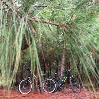 Hotel Hostal El Marquez Pavas