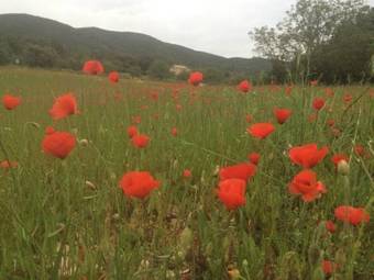Bed & Breakfast Mas La Rivayne