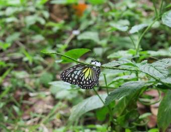 Hostal Back To Nature Ecotourism