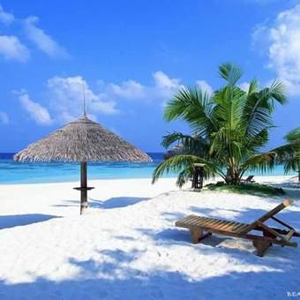 Hotel Jungle Beach Resort