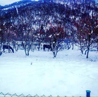 Agroturismo Green House