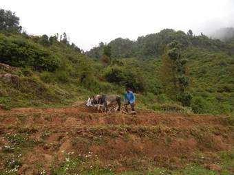 Dhanaulti Camp Homes And Retreat