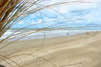 Apartment De Vossehoeck III