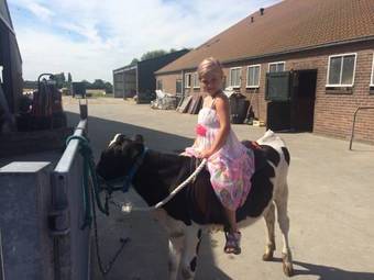 Apartamentos De Graanzolder