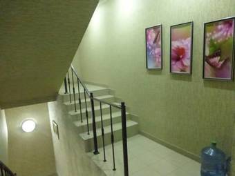 Ver fotos