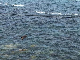 Apartamento 92 Simonstown Road