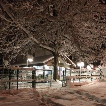 Hostal Penguen Bungalow Sapanca