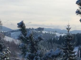 Karpatskiy Domik Yablunytsya