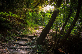 Hotel Eugenio Lopez Center