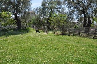 Hostal Guest House Luiza