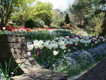 Villa Bank House Mount Victoria