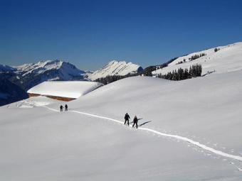 Apartamento Caroline's Appartement