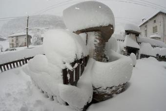 Hostal Guesthouse Karaivan