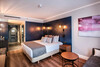 Hotel Princesa Plaza Madrid