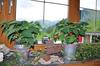 Hostal Haus Alpina