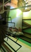 Albergue Green Secret Hostal