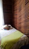 Albergue Green Secret Hostal