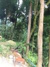 Mount Emei Feng Lin Yue Hotel