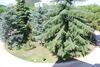 Hotel Terme Imperial