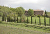 Fattoria Casabianca