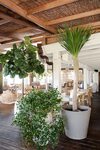 Hotel Villa Montana Beach Resort