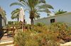 Hotel Kinneret Village