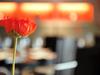 Hotel Mercure Brussels Airport