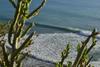 Apartamento Morocco Surf Riders