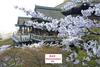Hostal Guest House Kyoto Gokomachi