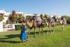 Bed & Breakfast Rebali Riads
