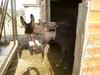 Bed & Breakfast Le Camere Di Virgilio