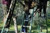 Agroturismo Villa Rosy