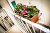 Bed & Breakfast La Perla Del Mare