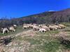 Agroturismo Le Mandrie Di San Paolo