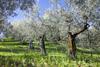 Agroturismo Le Mandrie Di San Paolo