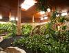Hotel Best Western Rainbow Country